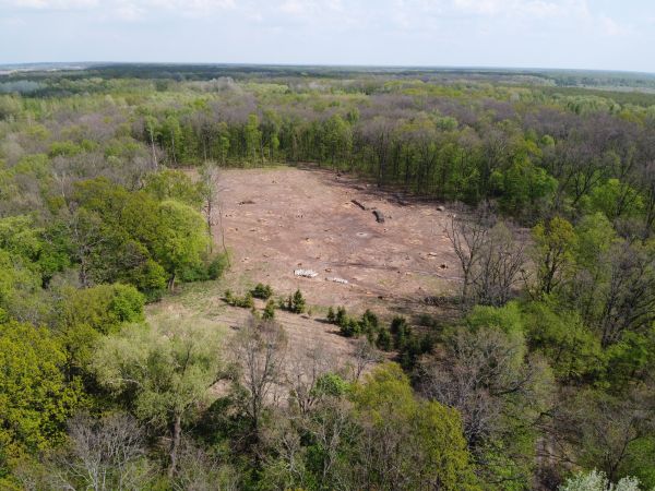 Pensacola Land Clearing